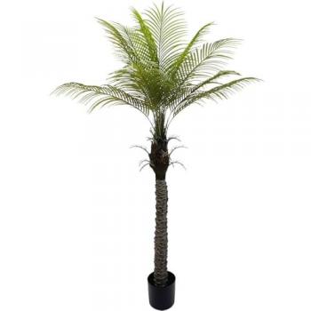 Planta artificial palmera fénix decorativa de 180 cm en plástico con envío gratis a la península