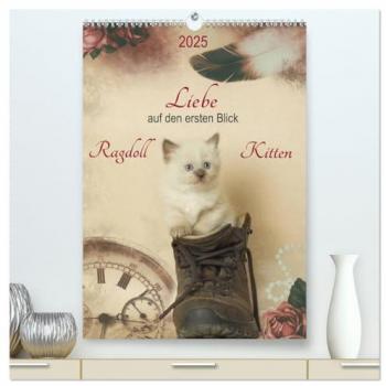 Liebe auf den ersten Blick . Ragdoll Kitten (hochwertiger Premium Wandkalender 2025 DIN A2 hoch) Kunstdruck in Hochglanz