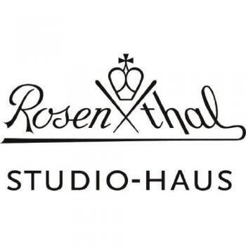 Rosenthal Kombi-Obertasse Porzellan Skin Platin