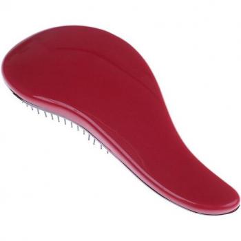 Brosse à Cheveux Enchantée
