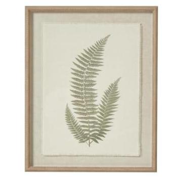 Classic Fern Artwork with Textured Paper & Beaded Cream Frame (81 × 49 cm)