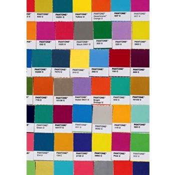Pantone Chips Journal