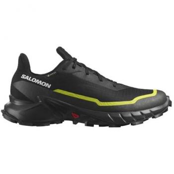 Salomon Alphacross 5 Gtx