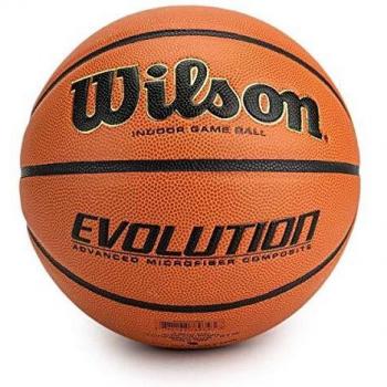 Wilson Evolution Game Ball