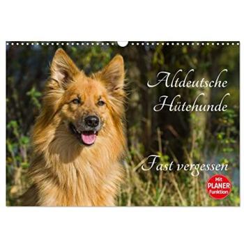 Altdeutsche Hütehunde
