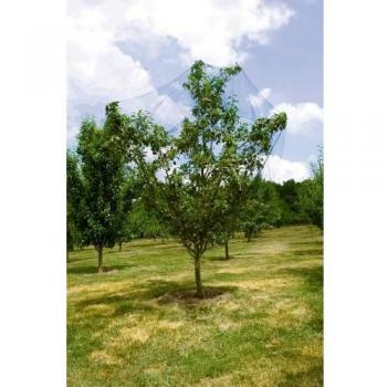 Filet de Jardin Anti-Oiseaux VILMORIN 2m x 5m Noir