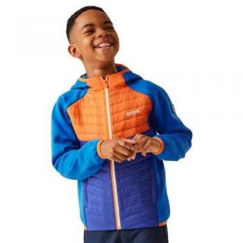 Chemise de plein air Regatta Kielder Hybrid Viii Bleu – Petite taille (3-4)