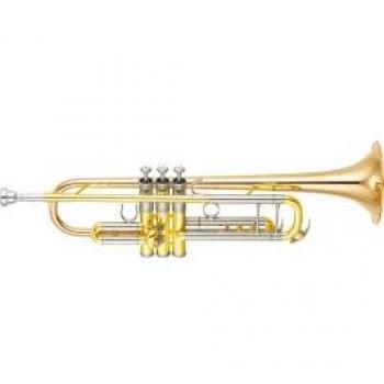 Yamaha Xeno Sib G 8345 Vernie