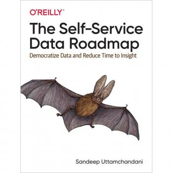 Vitalsource Technologies, Inc. The Self-service Data Roadmap