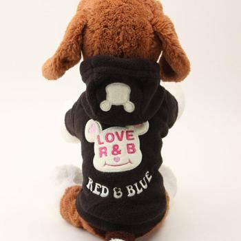 Hivernage Douillet Ours Canin