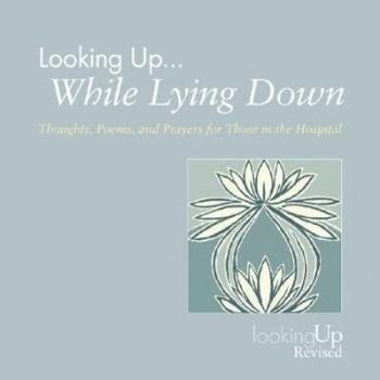 Looking Up While Lying Down, by John E. Biegert