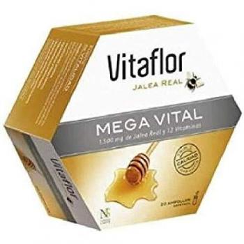 Vitaflor Mega Vital Digestive Health 20 Vials 200ml