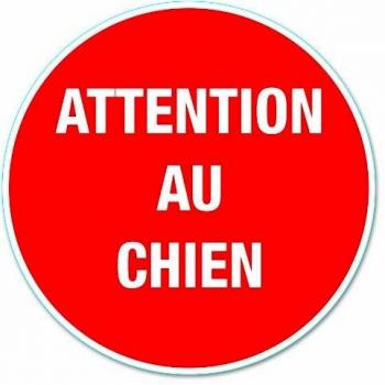 Attention au chien