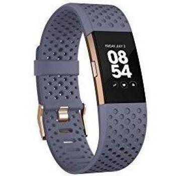 Fitfit Charge 2 Health Monitor – Grey‑Blue Gold, Small