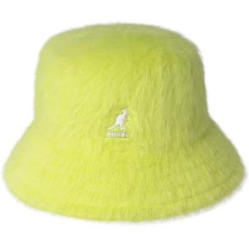 Bob Kangol Furgora Céleste