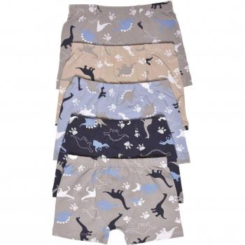 Boxer per Ragazzi 5 Pack Lycra 3