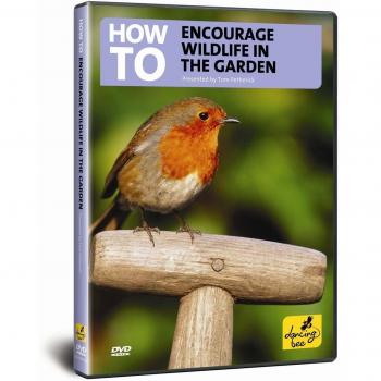 How To Encourage Wildlife Into the Garden