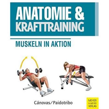 Anatomie und Krafttraining: Muskeln in Aktion