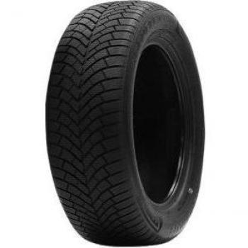 Double Coin DASP PLUS XL 3PMSF Winterreifen (215/60 R17 100V)