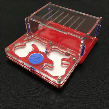 Ant-Grape M Size Ant Farm