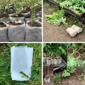 Kit Crecimiento Plantas Todo Tamaño