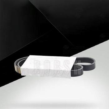 BMW E46 Ribbed V-Belt Set for 316Ci M43