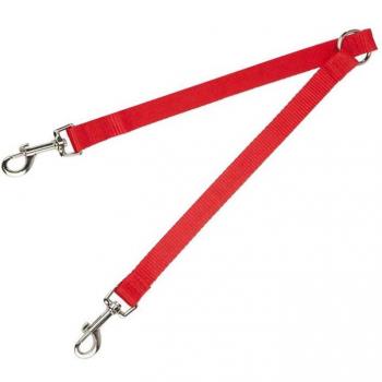 Double Dog Walking Lead