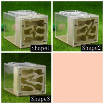 Acrylic Ant Nest with Gypsum and Cover 10*13*9.5cm