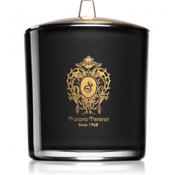 Tiziana Terenzi Capri Fig Candle 900 g