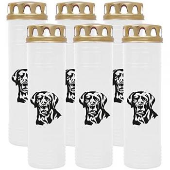 HS Candle Grablichter (6 Stück), Motiviertes Design, je 170 Stunden Laufzeit