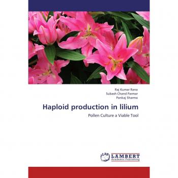 Haploid production in lilium