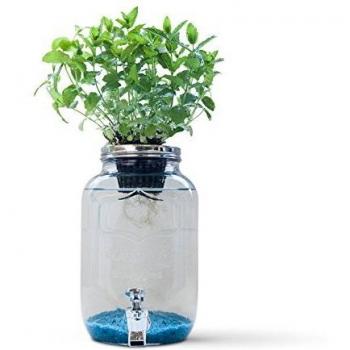 Hidroponía Blue Jar 4L