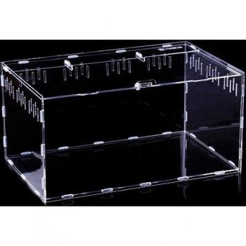 Caja de Insectos para Escarabajo Spade