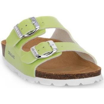 Infraditi Grunland Verde Junior 40LUCE