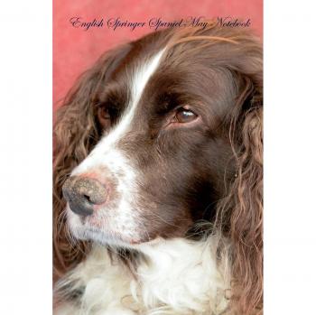 English Springer Spaniel May Notebook  English Springer Spaniel Record, Log, Diary, Special Memories, To Do List, Academic Notepad, Scrapbook & More