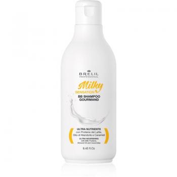 Milky Sensation Champú Regenerador 250 ml para Cabello Dañado