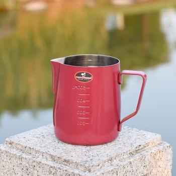 Cappuccino Frothing Jug Stainless Steel 600ml