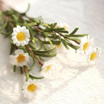 Daisy Flower Head Bouquet for Weddings