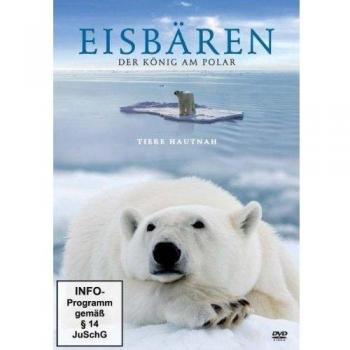 Eisbären