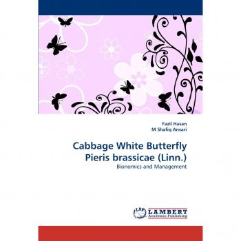 Cabbage White Butterfly Pieris brassicae