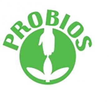 Regalo di Natale Probiotico Vegano 500g