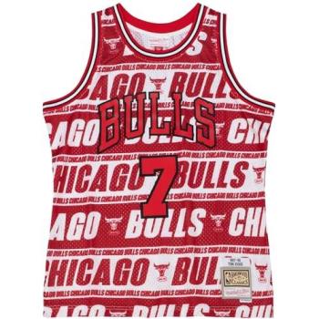 Swingman 97 Bulls Toni Kukoc Teamwrap