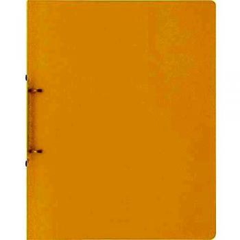 0 x Brunnen Ringbuch Fact! A4 16mm 2 Ringe gelb