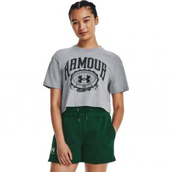 Under Armour Damen T-Shirt Collegiate Crest Crop Grau Loose Fit S