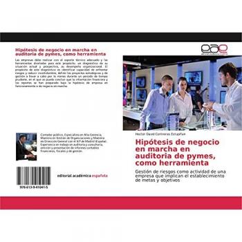 Hipótesis de negocio en marcha en auditoria de pymes, como herramienta: Gestión de riesgos como actividad de una empresa que implican el establecimiento de metas y objetivos