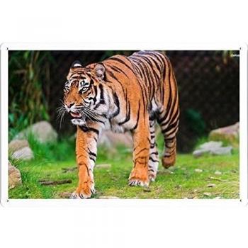 Chapa Tigre Sumatrano 20*30cm