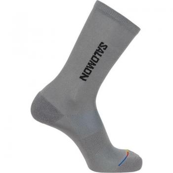 Chaussettes de Course Salomon 365 Crew Gris Pâle (45-47)