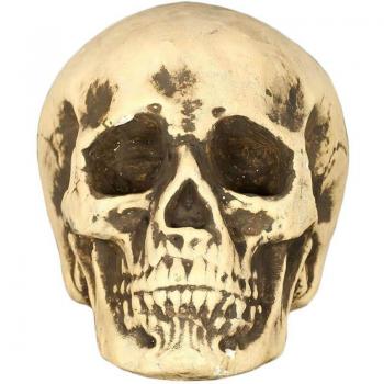 Cranio giallo in schiuma