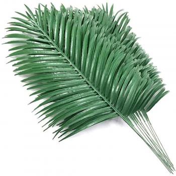 Vegetación Tropical: 12 Hojas de Palma