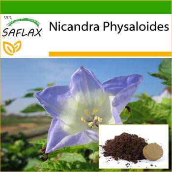 Saflax Manzana Peruana 100 Semillas con Maceta